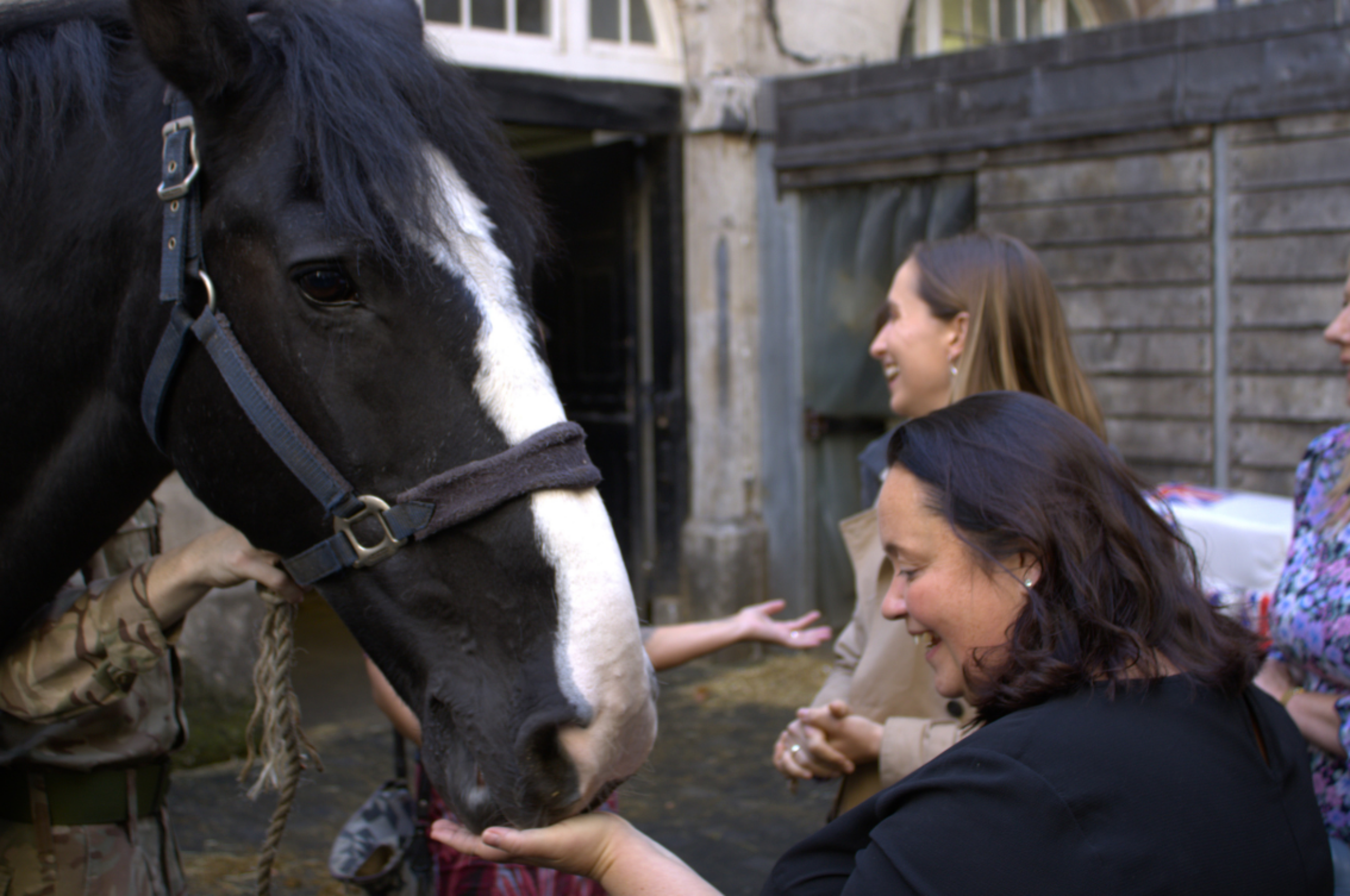 BHA employees feeding the Horses at Horse Guards Parade